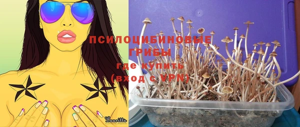 стаф Лагань