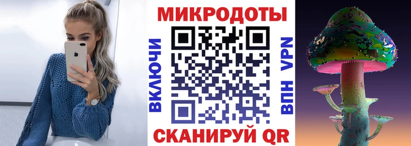 Галлюциногенные грибы Psilocybine cubensis  Купить где  Майкоп 