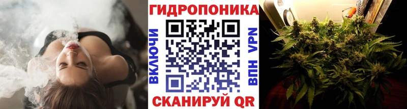 Шишки марихуана тримм  Купить  Майкоп 